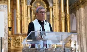 tedeum 25 de mayo 2026